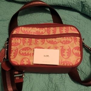 Coach x Guang Yu purse